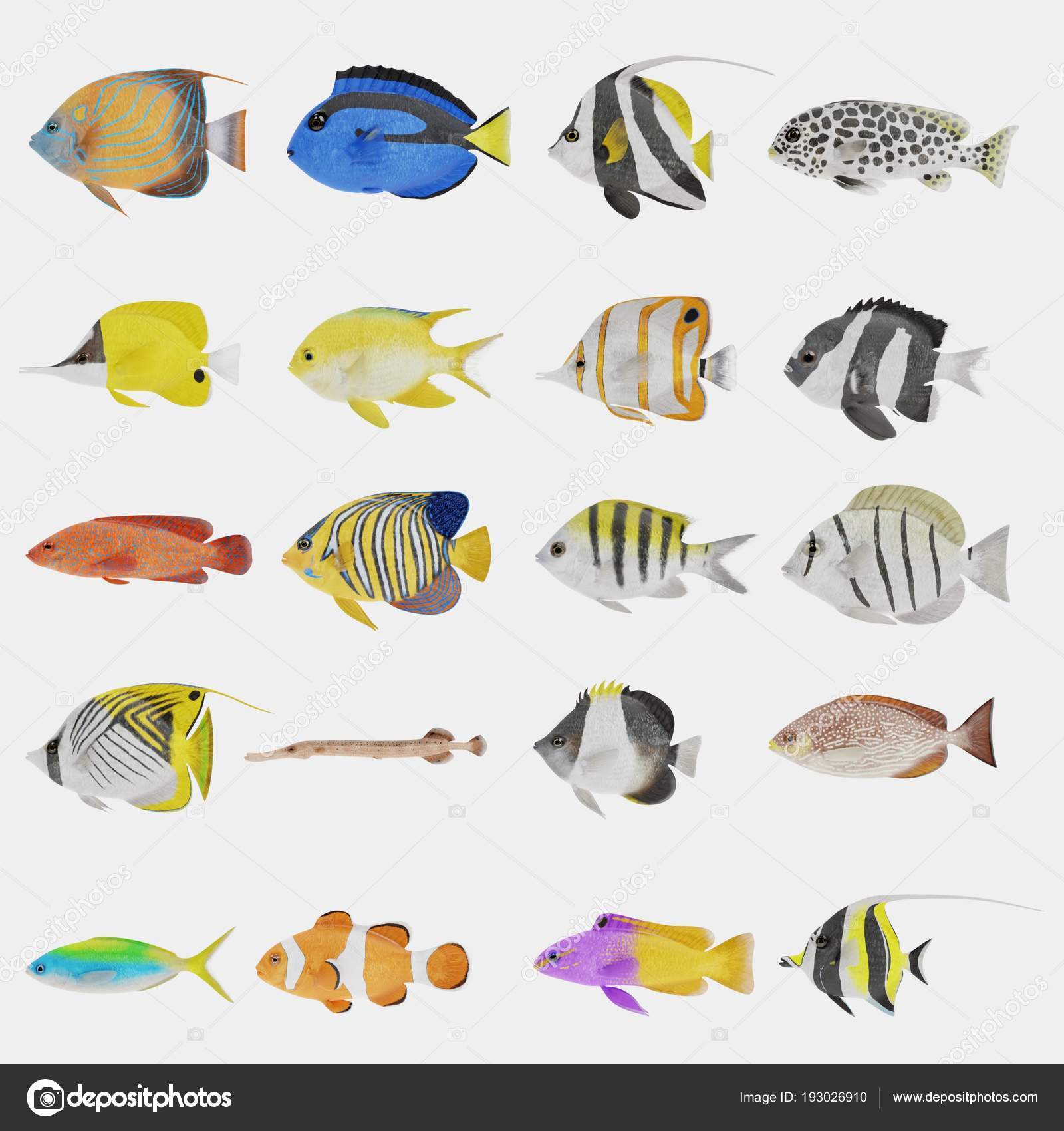 Conjunto De Peixes Do Mar Fofos. Personagem Vetorial De Desenho Animado No  Oceano. Peixe Tropical Ilustração do Vetor - Ilustração de nave, criatura:  238297554, image size:1600x1700