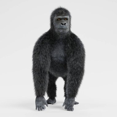Gorilin gerçekçi 3d Render 