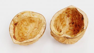 Ceviz gerçekçi 3d Render