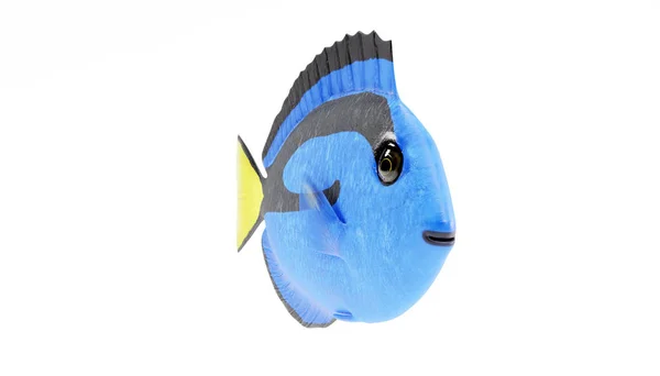 Realistické Vykreslení Blue Tang Ryba — Stock fotografie