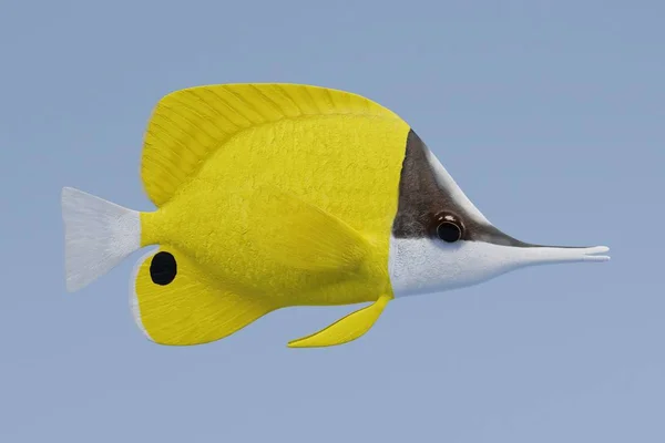 Realistyczne Render Longnose Butterflyfish — Zdjęcie stockowe