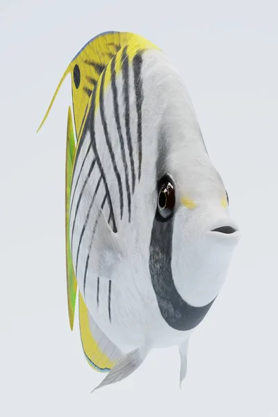 Threadfin Buterflyfish 的逼真3D — 图库照片