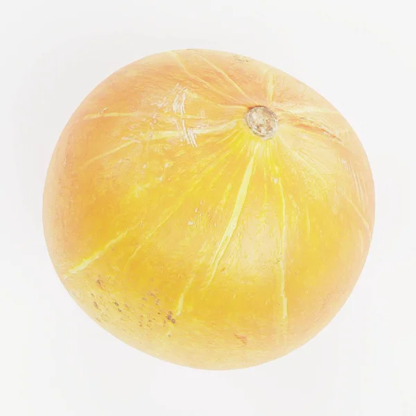 Realistic Render Pumpkin — Stock Photo, Image