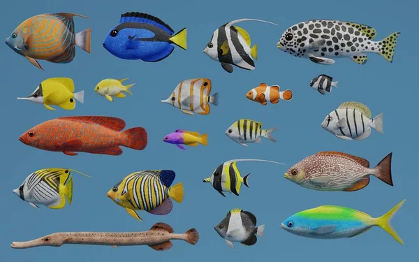 Tropikal Balık Koleksiyonunun Gerçekçi Render — Stok fotoğraf