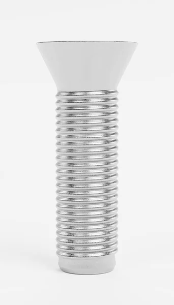 Realistic Render Screw — Stock Photo, Image