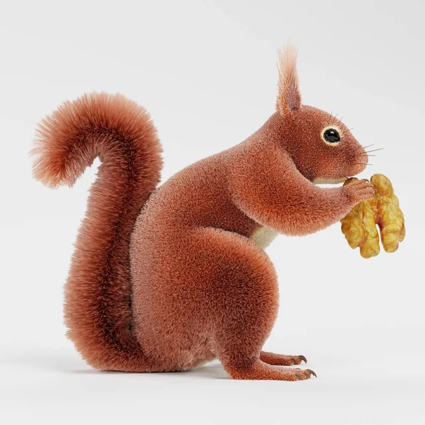 Realistic Render Squirrel Nut — Stock Photo, Image
