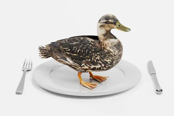 Rendering Der Ente Auf Dem Teller — Stockfoto