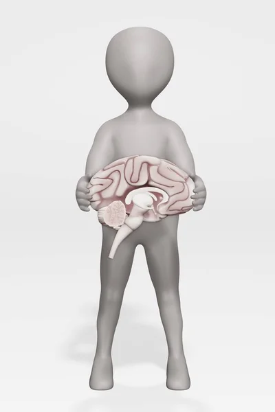 Renderizado Carácter Con Cerebro Humano —  Fotos de Stock