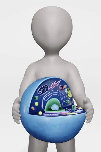 Render Character Human Cell — Stock Photo, Image