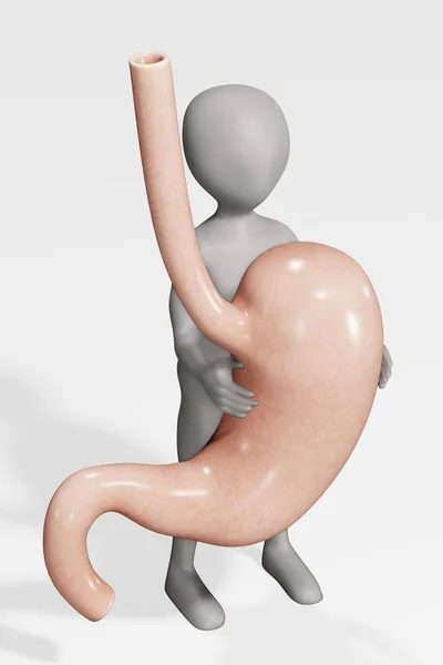 3D具有人类胃的性格渲染 — 图库照片