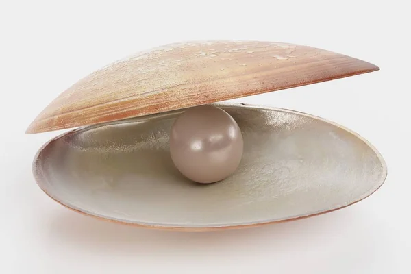 Realistic Render Clam Pearl — Stock Photo, Image