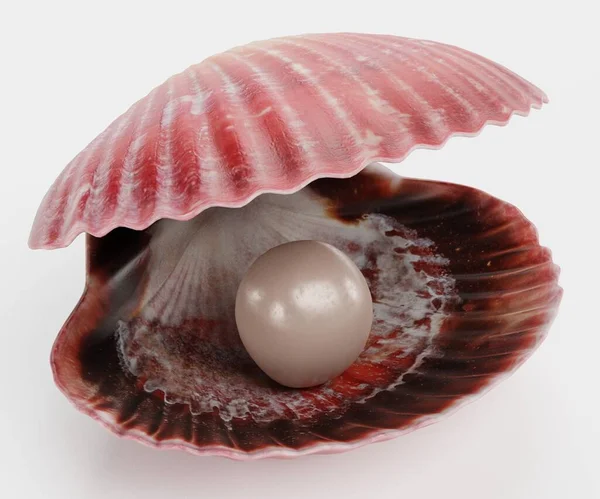 Rendering Realistico Vongole Con Perla — Foto Stock