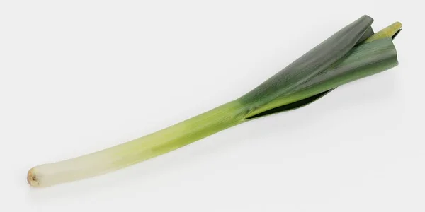 Realistic Render Leek Vegetable — Stock Photo, Image