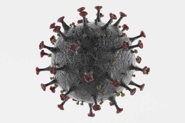 Coronavirus Modelinin Gerçekçi 3B Hazırlaması