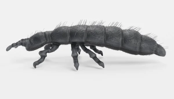 Realistyczne Render Snow Flea — Zdjęcie stockowe