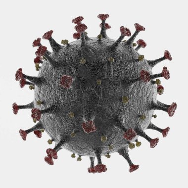 Coronavirus Modelinin Gerçekçi 3B Hazırlaması