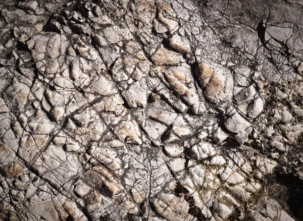 Vecchie rocce calcaree di superficie robuste — Foto Stock