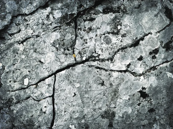 선 석회암 바위 균열 — 스톡 사진