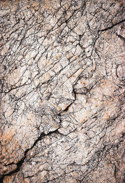 書き換えられたひびの石灰岩 — ストック写真
