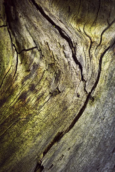 Détail de vieille fissure de bois — Photo