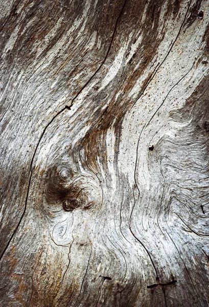 Dibujo abstracto sobre madera podrida vieja — Foto de Stock