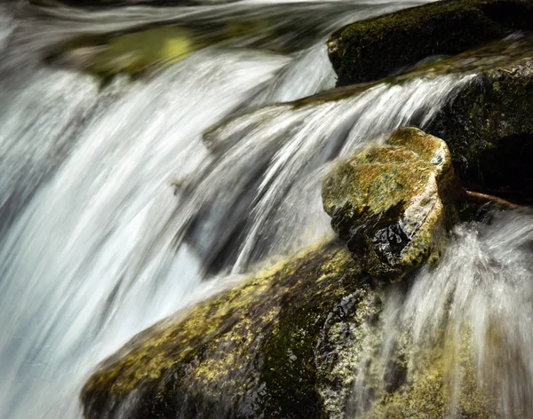 Still life in the waves wild river — Stock Photo, Image