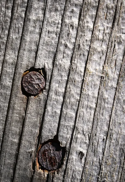 Dos clavos oxidados en madera — Foto de Stock