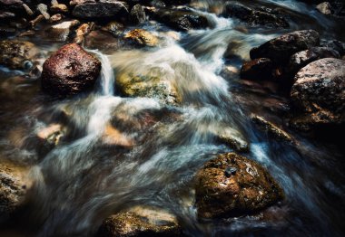 vahşi beyaz su ile sonbahar akışı