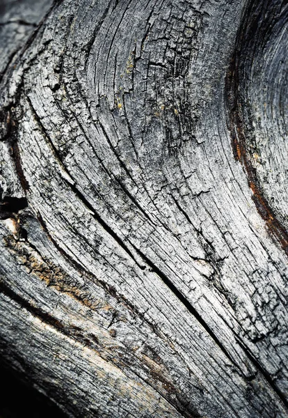 Detalle de madera envejecida — Foto de Stock