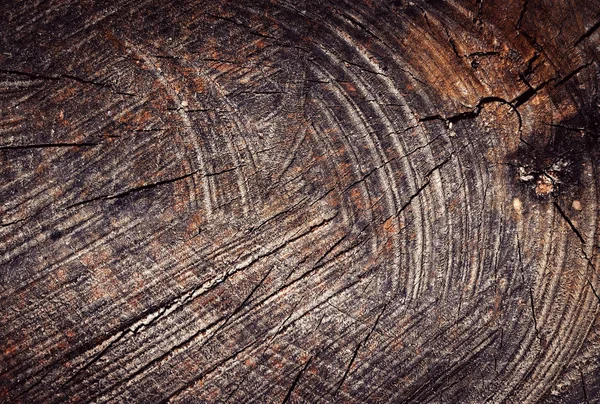 Detail of an old scratches sawing stump — Stock Photo, Image