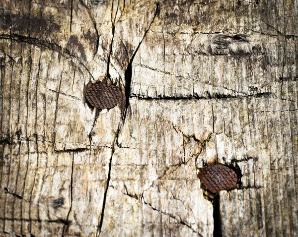 Two rusty nails in wood — Stock Photo, Image