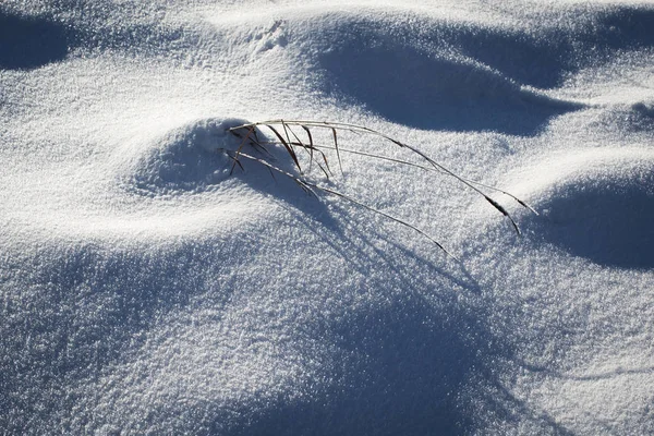 Deken van sneeuw uit te steken naar het gras — Stockfoto