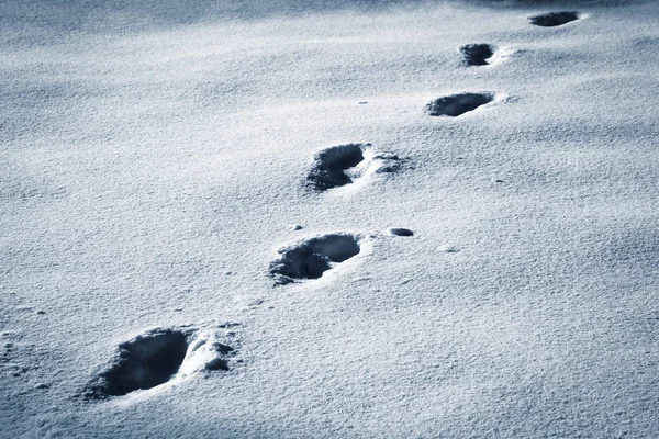 Dark footprints walking on snow — Stock Photo, Image