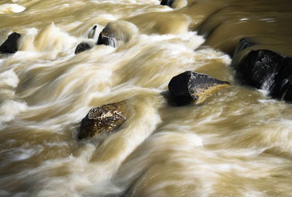 Primavera alluvione selvaggia del fiume — Foto Stock