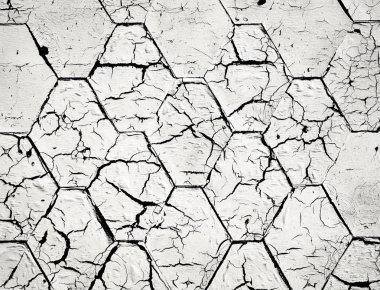 beyaz boyalı asfalt shingle