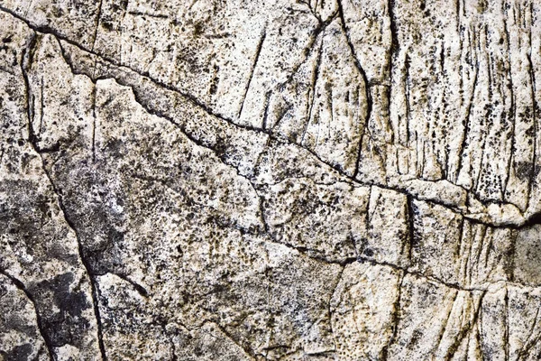 Yivli kireçtaşı kirli