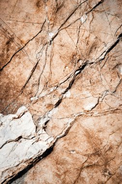 eski kireçtaşı üzerinden damarlı