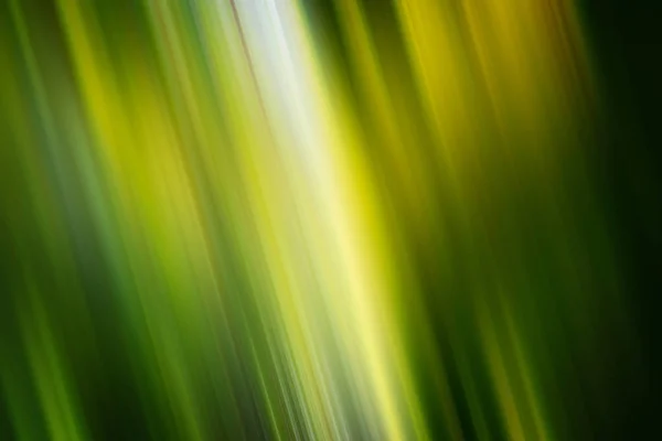 Spring fresh blurred background — Stock Photo, Image