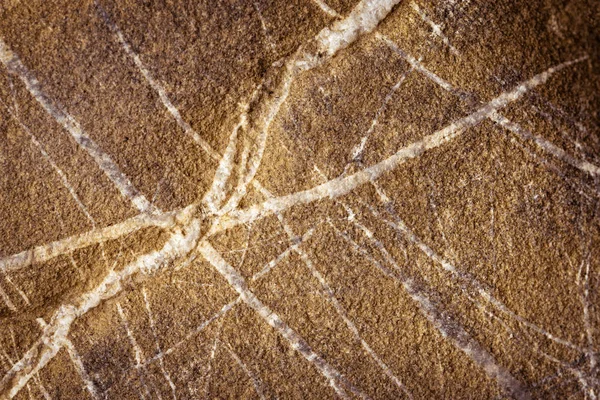 Sandstone with quartz veins — Stock Photo, Image