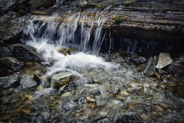 Een kleine waterval via het hout — Stockfoto