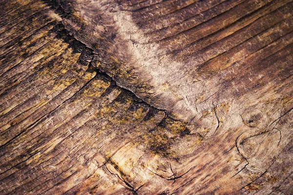 Detail the beauty of a wooden board — Stock Photo, Image