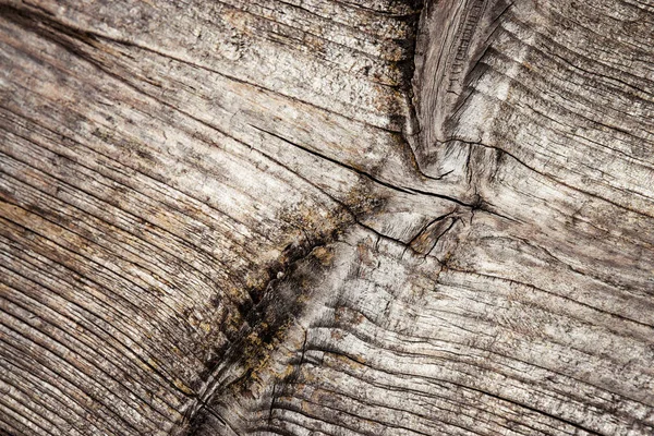 Detail wooden board — Stock Photo, Image