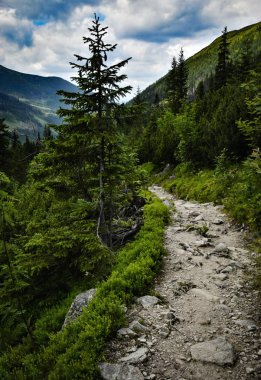 Vadinin içine taş kaldırım