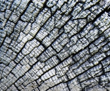 yıpranmış eski ahşap üzerinde çatlaklar