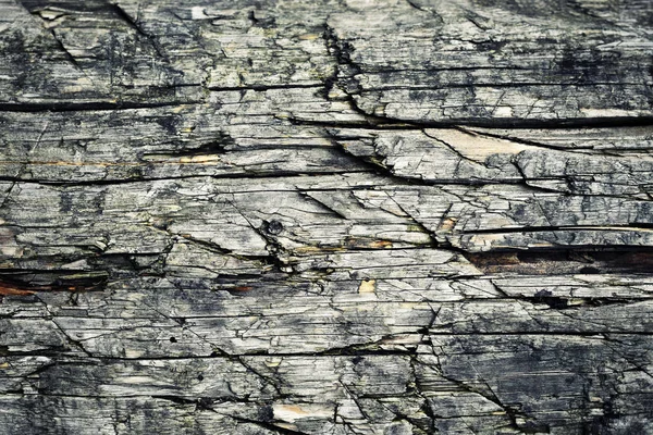 Detail van hout met scheuren en delen — Stockfoto