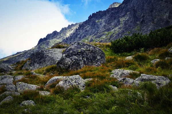 U podnóża skalnej ściany — Zdjęcie stockowe