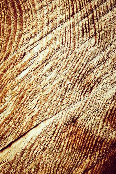 Texture bois coupé — Photo