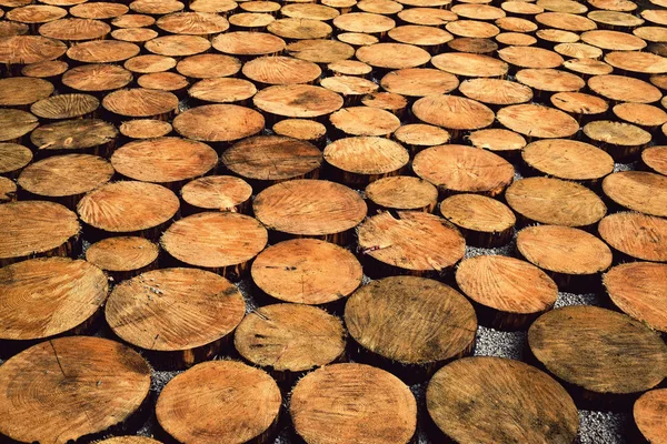 Pavimento de troncos de madera —  Fotos de Stock