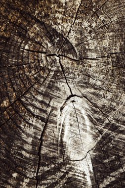 yapısı eski güdük üzerinde çatlaklar