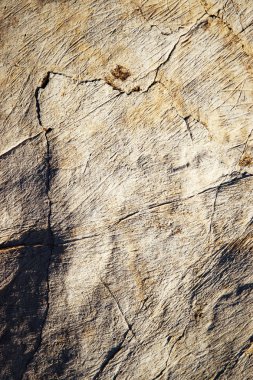 beyaz ve gri kireçtaşından yivli